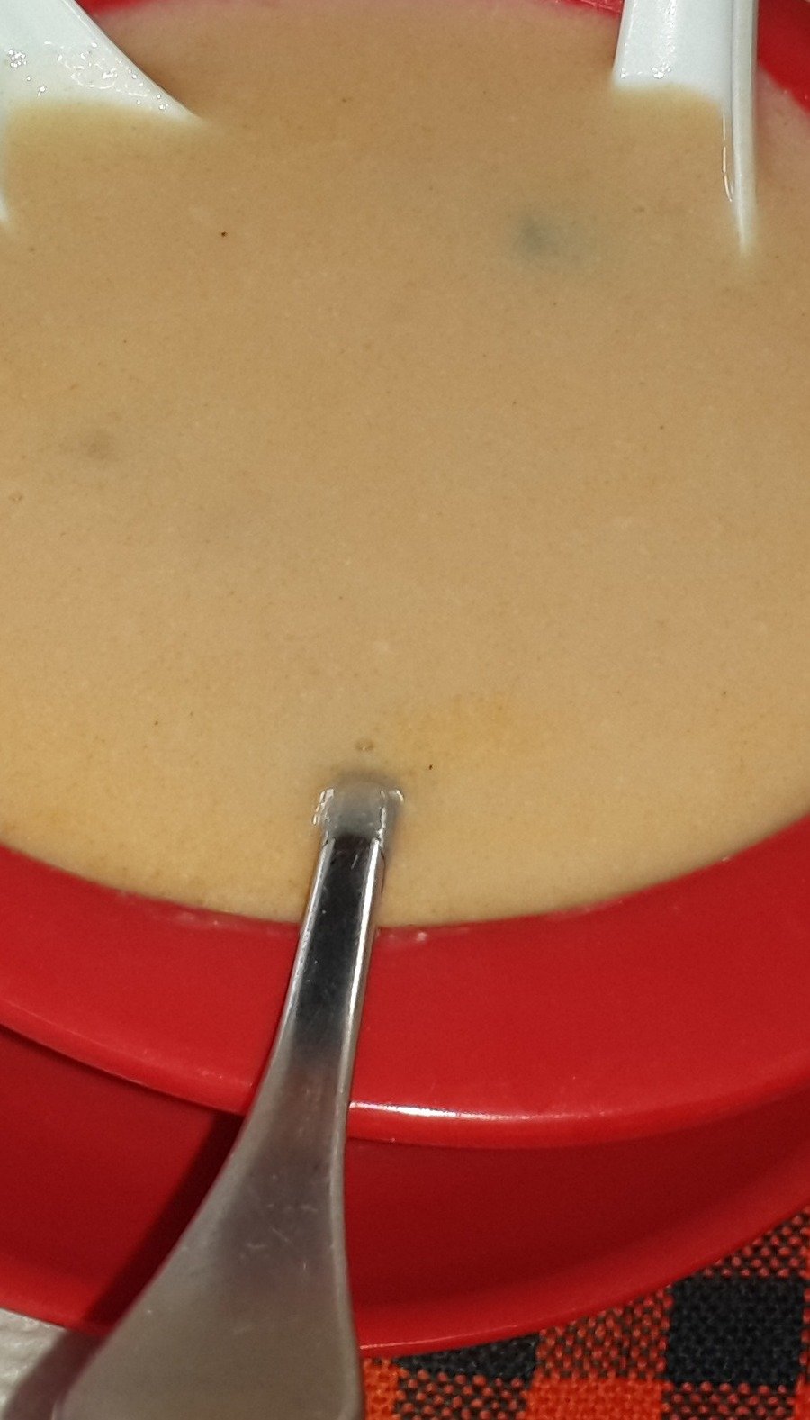 Chinese Chicken Corn Soup